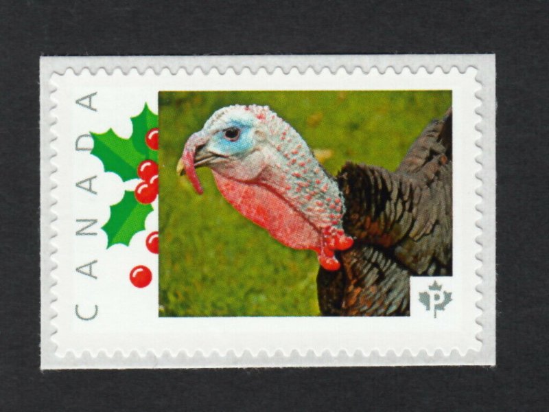 qlp. TURKEY Bird= Picture Postage stamp MNH Canada 2015 p15/10br3/2