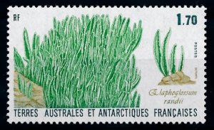 [64728] TAAF 1988 Flora plants pflanze Fern  MLH