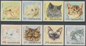 HUNGARY Sc#1880-1887 1968 Domestic Cats Complete Set Unused Without Gum