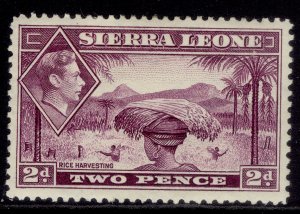 SIERRA LEONE GVI SG191a, 2d scarlet, M MINT. Cat £50.