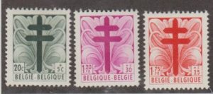 Belgium Scott #B462-B463-B464 Stamp - Mint Set