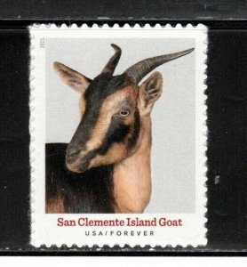 5589 * SAN CLEMENTE ISLAND GOAT *   U.S. Postage Stamp MNH