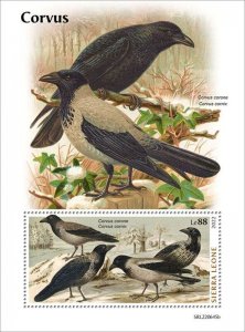 Sierra Leone - 2022 Corvus, Crows - Stamp Souvenir Sheet - SRL220645b