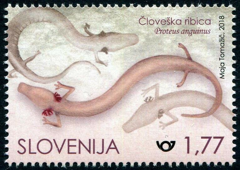 HERRICKSTAMP NEW ISSUES SLOVENIA 150th Anniversary of Human Fish