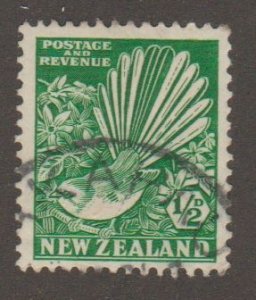 New Zealand 203 bird