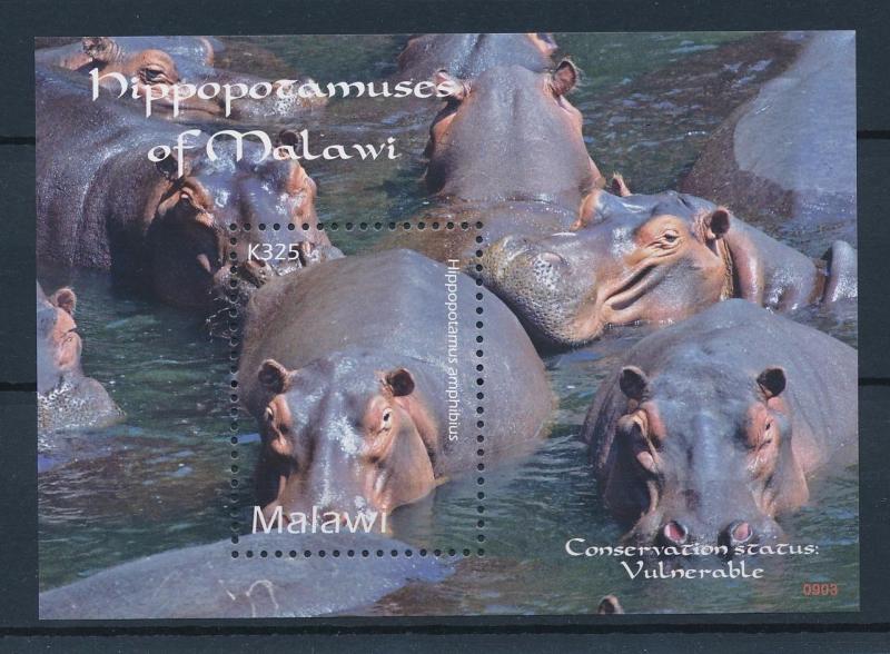 [38771] Malawi 2009 Wild Animals Mammals Hippo MNH Sheet