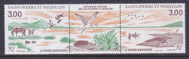 St. Pierre & Miquelon 505a MNH 1987 Great Barachoise Nature Reserve Pair w/Label