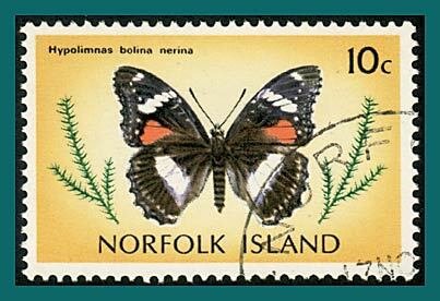 Norfolk Island 1976 Butterflies Moths 1, 10c used #206,SG184