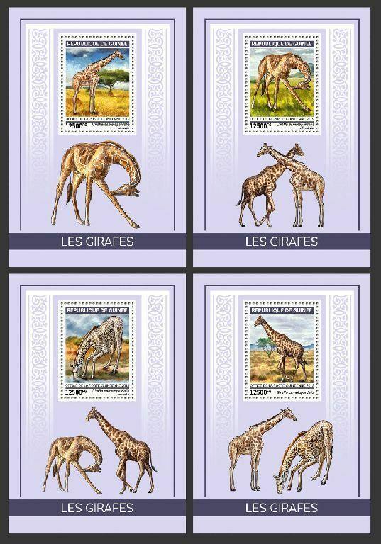 Z08 GU190109b Guinee Guinea 2019 Giraffes MNH ** Postfrisch