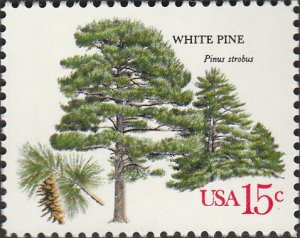 # 1765 MINT NEVER HINGED ( MNH ) WHITE PINE