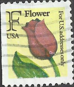 # 2519 USED RED ROSE    