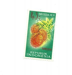 Indonesia 1961 - M - Scott #B137 *