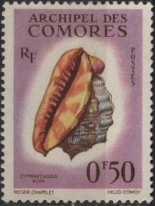 Comoro Islands 48 (mh) 50c seashell: Cypraecassis rufa (1959)