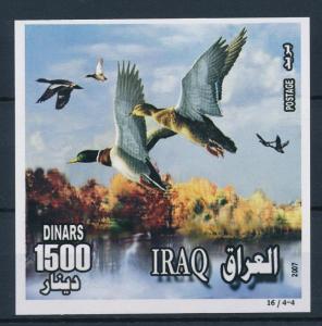 [40897] Iraq Irak 2007 Birds Vögel Oiseaux Ucelli  Ducks MNH Sheet