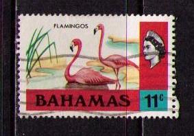 BAHAMAS Sc# 322 USED FVF Flamingos