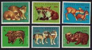 Romania Piglets Fawns Kittens Fox Wolf Bear Cubs 6v 1972 MNH SG#3885-3890