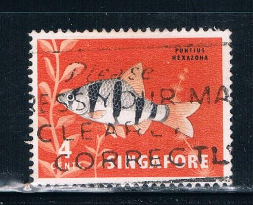 Singapore  54 Used Tropical Fish (S0273)