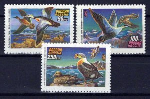 Russia & Soviet Union 6155-6157 MNH Birds Ducks ZAYIX 0624S0258