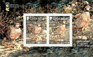 Gibraltar 2019 - Europa Birds - Souvenir stamp sheet - MNH