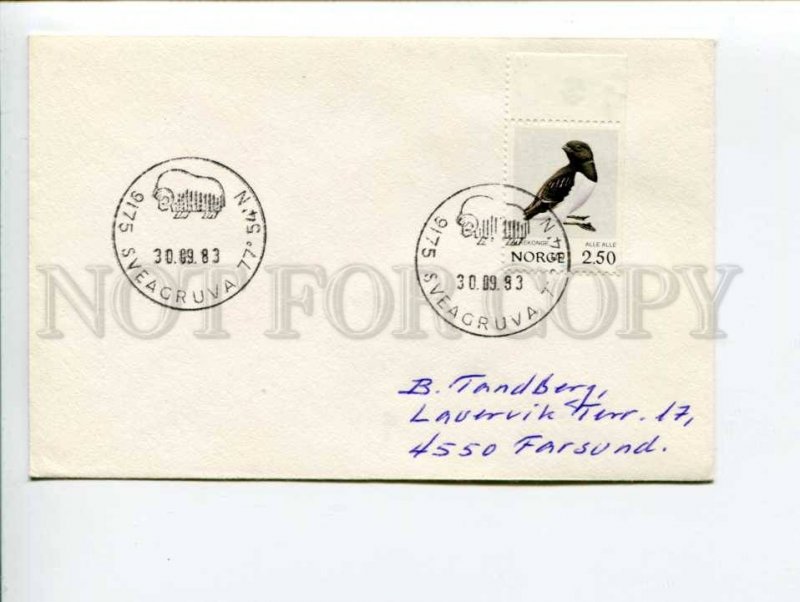 292284 NORWAY 1983 year COVER Sveagruva buffalo