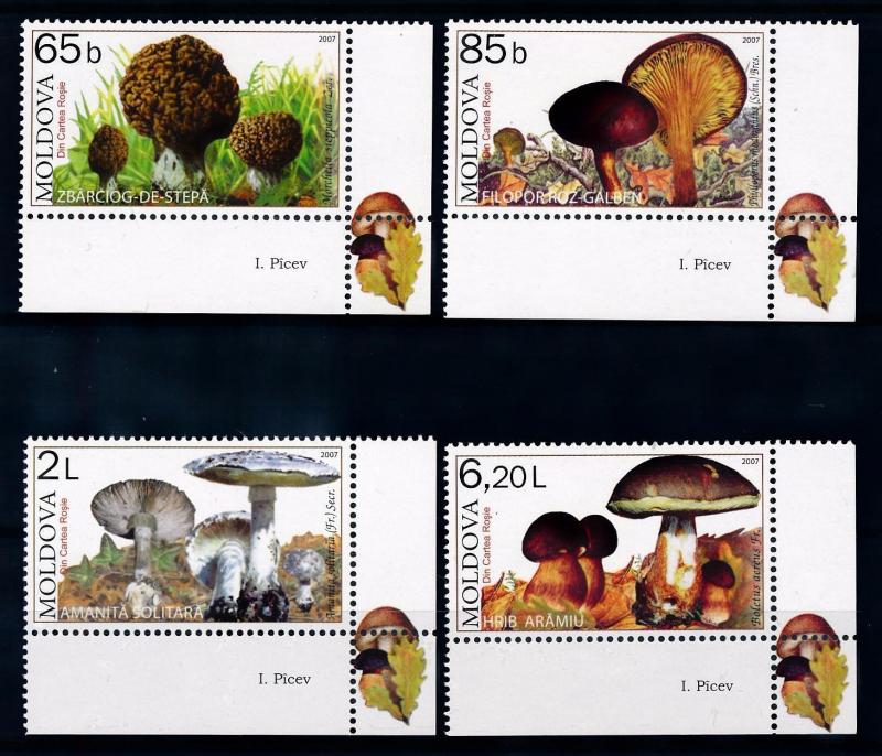 [68915] Moldova 2007 Mushrooms Pilze Champignons with Large Labels MNH