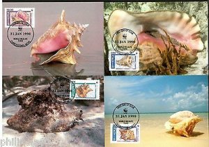 Nevis 1990 WWF Queen Conchs Shell Marine Life Animals Sc 591-4 Set 4 Max Cards