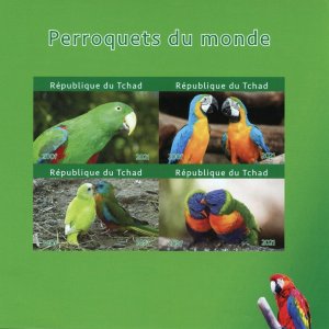 Chad Birds on Stamps 2021 MNH Parrots of World Macaws Conures 4v IMPF M/S II