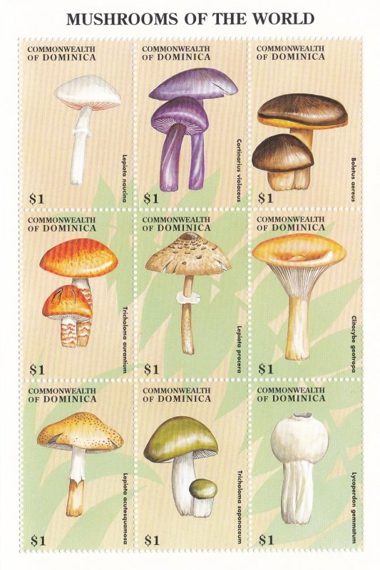Dominica # 2050-2051, Mushrooms of the World, NH, 1/2 Cat.