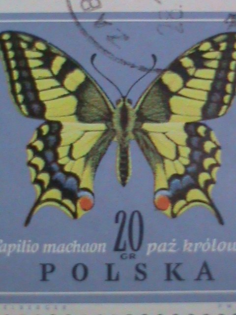 POLAND STAMP- COLORFUL BEAUTIFUL LOVELY BUTTERFLY LARGE CTO STAMPS-VERY FINE