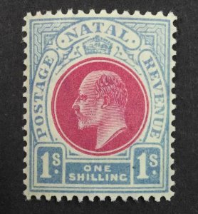 MOMEN: NATAL SG #155 1904-08 MULT CROWN CA MINT OG NH £85+++ LOT #63881-1