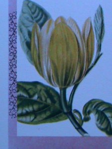 ​SCOTLAND-EYNHALLOW-COLORFUL BEAUTIFUL LOVELY MAGNOLIA IMPERF MNH-OG S/S VF
