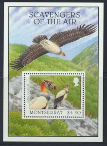 Montserrat  SG  MS1033  SC#920   Scavengers of the Air Birds 1997