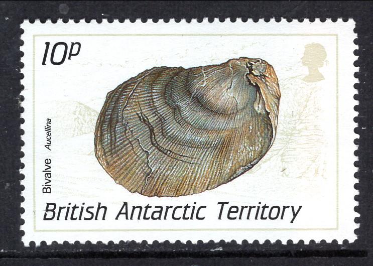 British Antarctic Territory 162 Mussel MNH VF