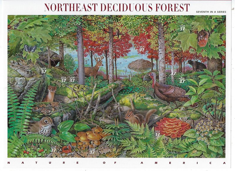 US #3899 2005 NORTHEAST DECIDUOUS FOREST  PANE OF 10 37C STAMPS- MINT NH