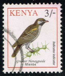 Kenya #600 Greater Honeyguide Bird; Used