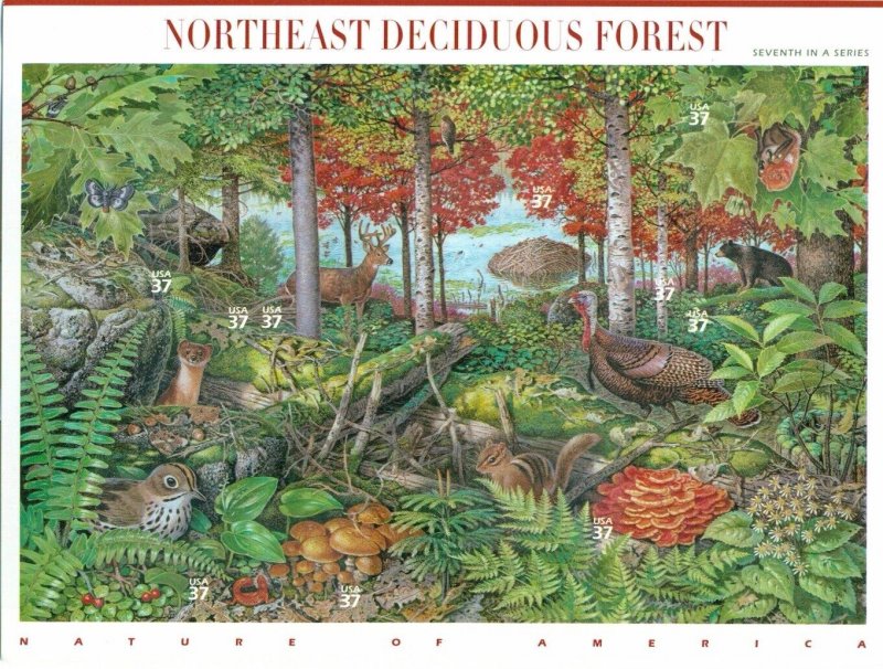 US 2005 Nature of America Northeast Deciduous Forest; 37 Cents, MNH Sc 3899