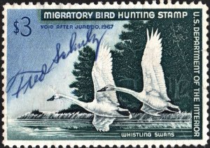 RW33 $3.00 Whistling Swans Stamp (1966) Signed