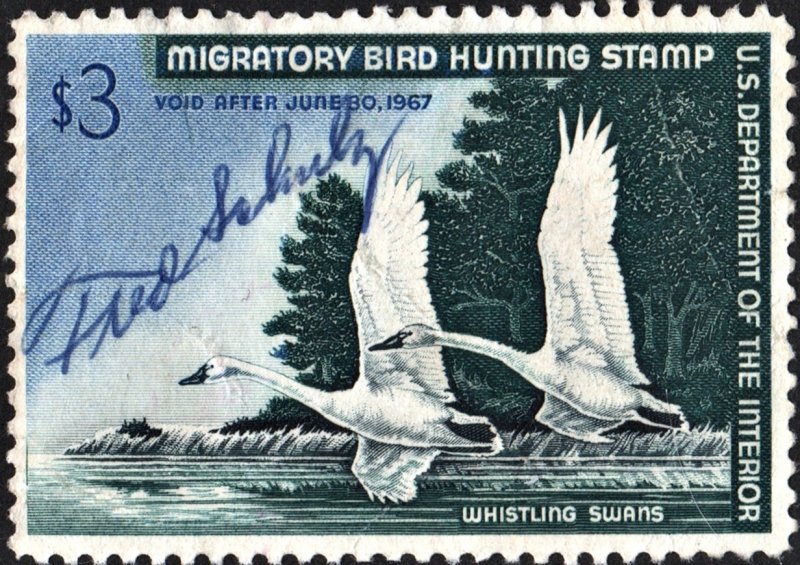 RW33 $3.00 Whistling Swans Stamp (1966) Signed