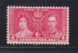 NEWFOUNDLAND Scott # 231 MNH - King George VI Coronation