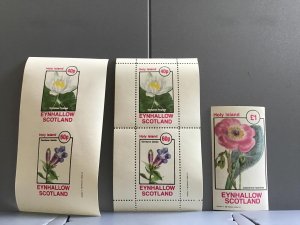 Scotland  Holy Island Calandrinia Speciosa   plant flower MNH stamps R24009