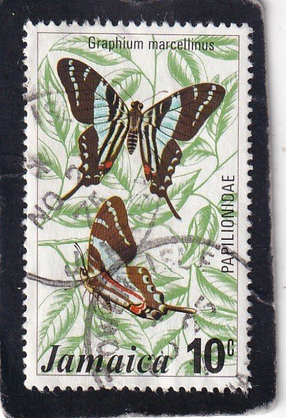 Jamaica   #   398   used