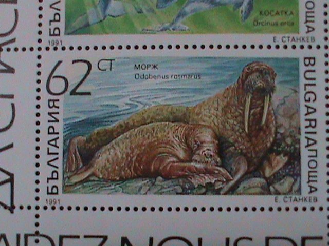 BULGARIA 1991 SC#3670a MARINE MAMMALS-MNH -SHEET VF WE SHIP TO WORLDWIDE