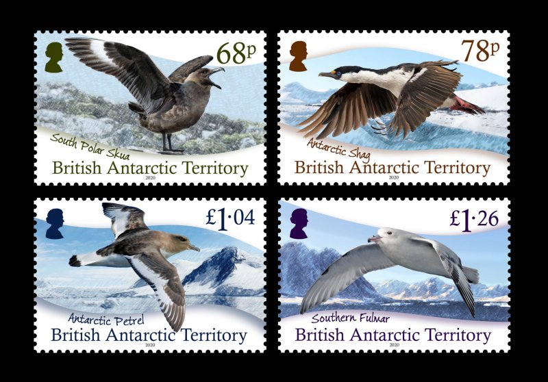 BRITISH ANTARCTIC BAT 2020 BIRDS ANTARCTIC OISEAUX VOGEL UCCELLO [#2002]