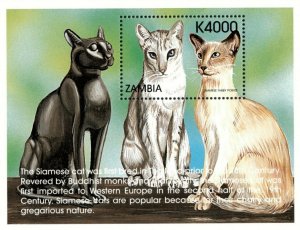 Zambia 1999 - Cats of The World Siamese - Souvenir Sheet - Scott 803 - MNH