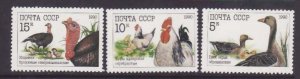 Russia-Sc#5909-11- id7-unused NH set-Birds-Poultry-1990-