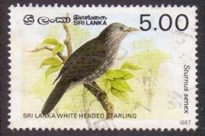 Sri Lanka 1987  used  838  birds 5r. starling     #