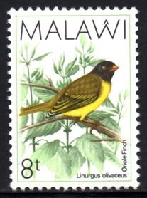 Malawi - 1988 Birds 8t MNH** SG 793