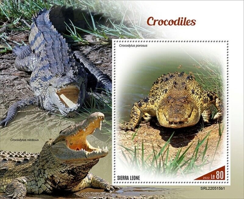 Sierra Leone - 2022 Saltwater Crocodile - Stamp Souvenir Sheet - SRL220515b1