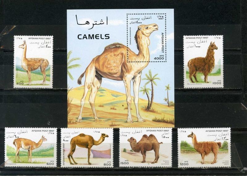 AFGHANISTAN 1997 CAMELS & LAMAS SET OF 6 STAMPS & S/S MNH