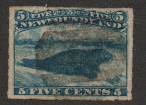 Newfoundland 40 Used